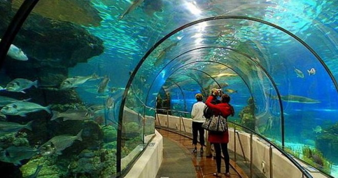 Gündoğdu в Antalya Aquarium и Тур по Городу – Туннельный Аквариум, Старый Город и Водопад Куршунлу