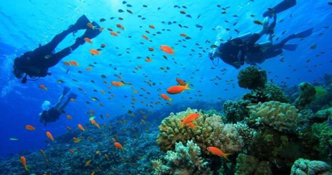 Snorkeling Tour in Gündoğdu – Explore the Largest Underwater Museum in Europe